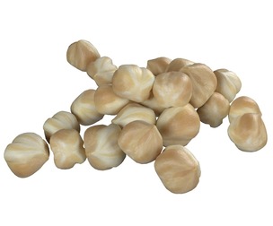 Hazelnut white pile