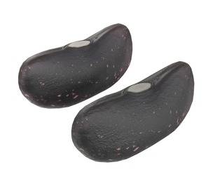 Black dry kidney beans