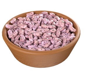 Cranberry Borlotti bean bowl