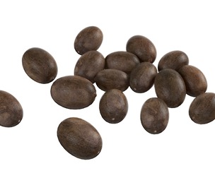 Lotus seed black pile