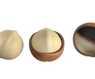 Macadamia Nut kernel and half