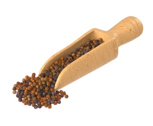 Mustard seed scoop Scoop