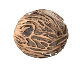 Othalanga Pong Pong Seed
