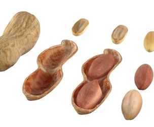 Peanut collection