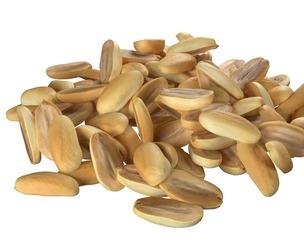 Peanut kernel white half pile