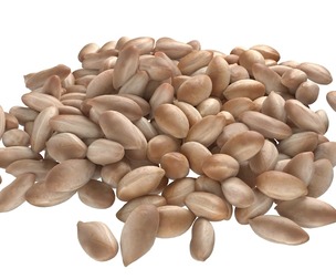 Peanut kernel white pile