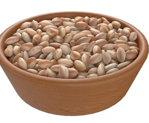Pranut kernel white bowl
