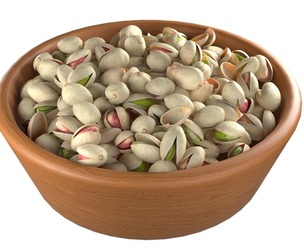 Pistachio  Shell Bowl