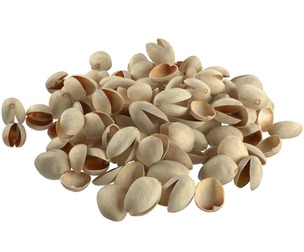 Pistachio  Shell Pile
