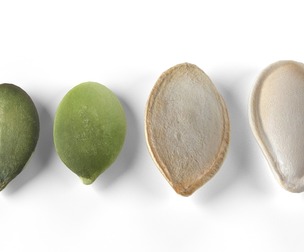 Pumpkin seeds set
