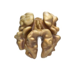 Walnut kernel v3