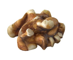 Walnut kernel v4