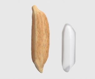Rice grain dry and raw