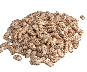 Roman beans pile