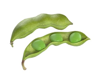 Soybean green pod