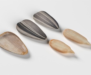Striped sunflower seeds