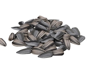 Sunflower seed pile v2