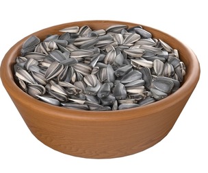 Sunflwoer seed bowl v2