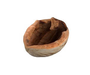 Walnut shell