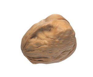 Walnut v3