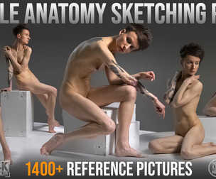 1400+ Female Anatomy Sketching Poses