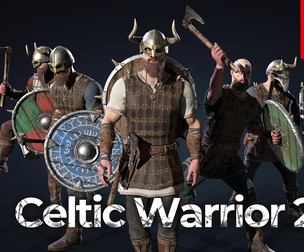 Vikings set: "Celtic Warrior 2"