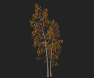 Tree 3D Model 002