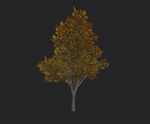 Tree 3D Model 006