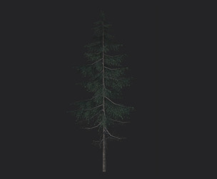 Tree 3D Model 023
