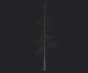 Tree 3D Model 026