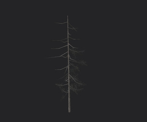 Tree 3D Model 027