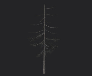Tree 3D Model 028