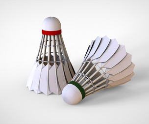 Badminton Shuttlecock