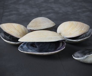 Clams 1 Free