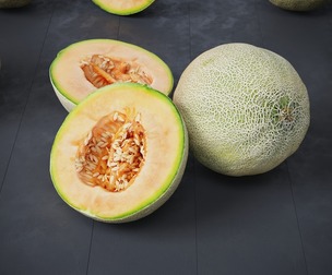 Melons 7 Models