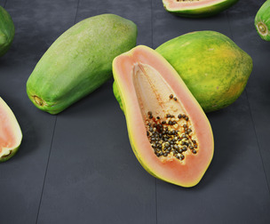 Papaya 10 Models
