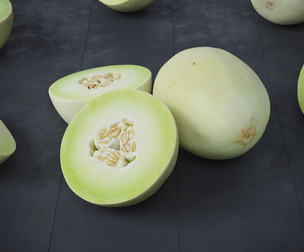 Honeydew Melons 12 Models