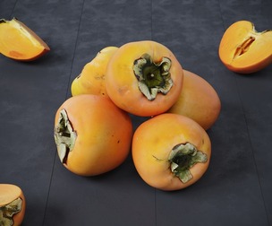 Persimmon 8 Models