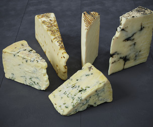 Cheese 2 Mixed 5 models