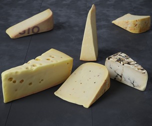 Cheese 1 Mixed 4 models