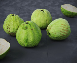 Guavas Green 6 Models