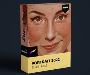 Haze Long PREMIUM Procreate Portrait 2022 Brushes