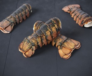 Atlantic Lobster Tails 8 models