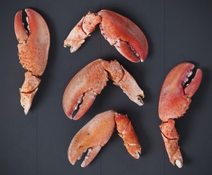 Lobster Claws Cooked 6 Models