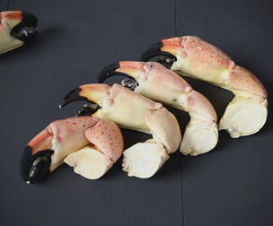 Stone Crab Claws 7 Models