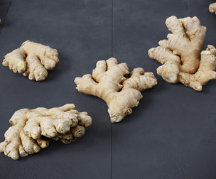 Ginger 4 Models