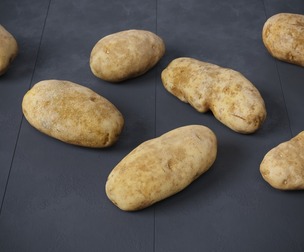 Potatoes 7 Models