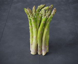 Asparagus 12 Models
