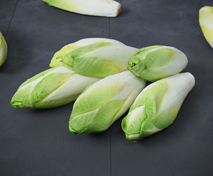 Belgian Endive 8 Models