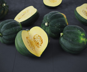 Acorn Squash 10 Models